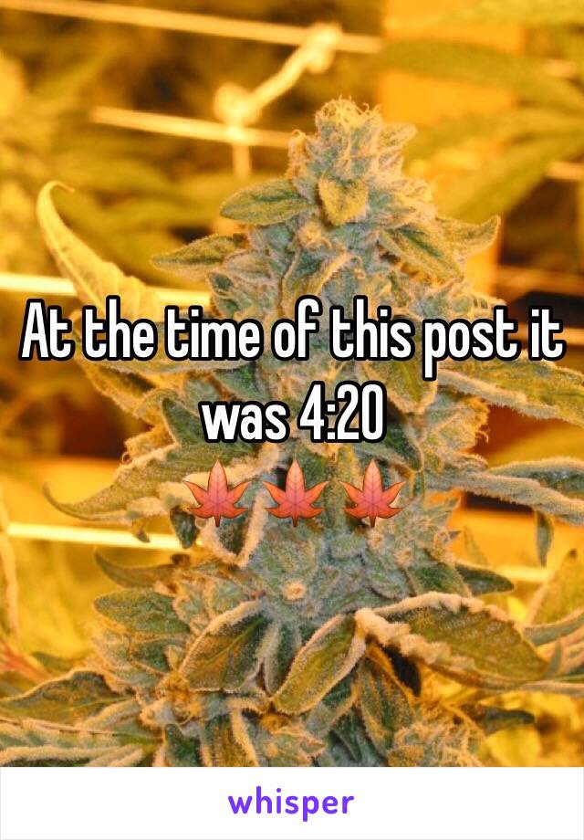 At the time of this post it was 4:20
🍁🍁🍁