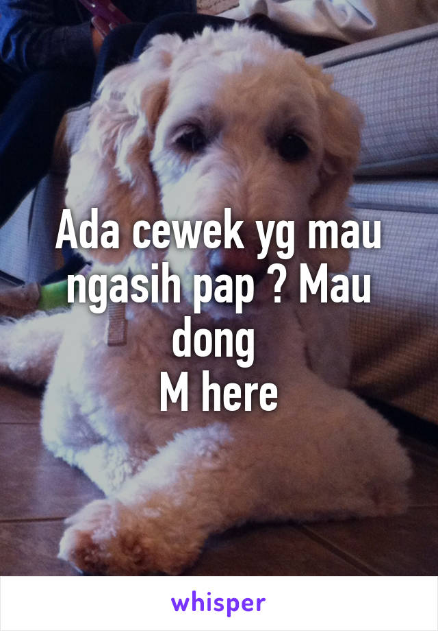 Ada cewek yg mau ngasih pap ? Mau dong 
M here