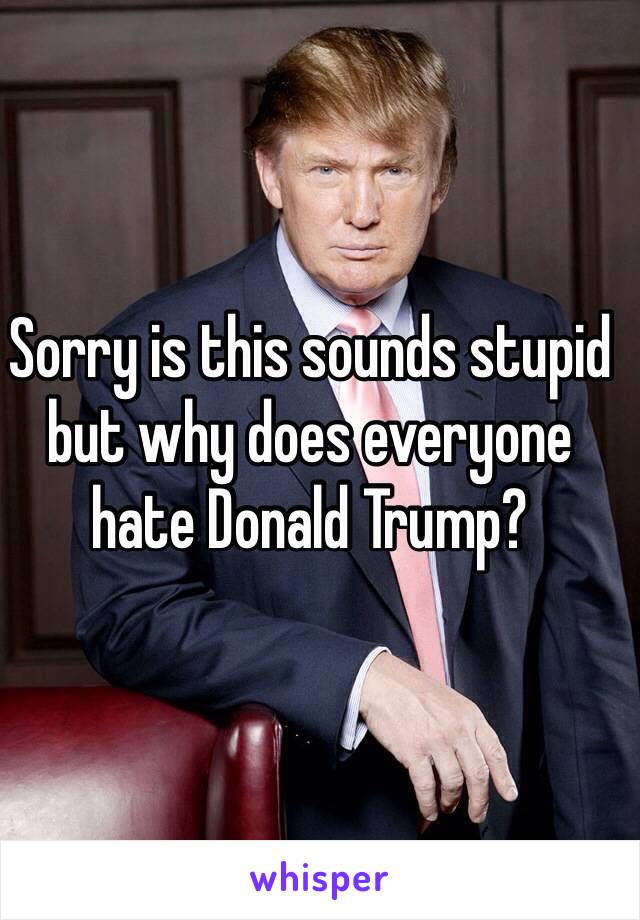 Sorry is this sounds stupid but why does everyone hate Donald Trump? 