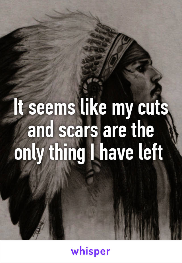 It seems like my cuts and scars are the only thing I have left 