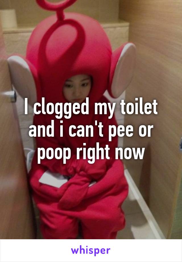 I clogged my toilet and i can't pee or poop right now