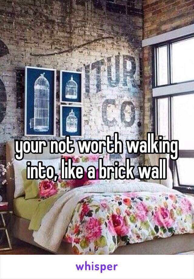 your not worth walking into, like a brick wall