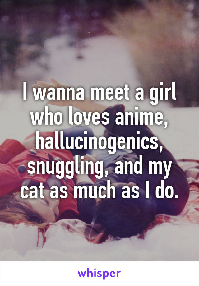 I wanna meet a girl who loves anime, hallucinogenics, snuggling, and my cat as much as I do.