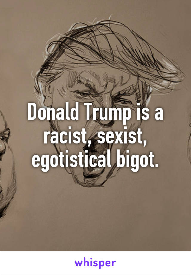 Donald Trump is a racist, sexist, egotistical bigot.