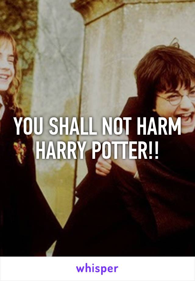 YOU SHALL NOT HARM HARRY POTTER!!