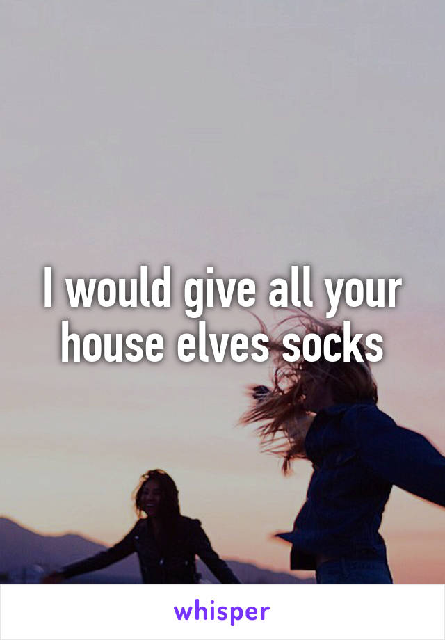 I would give all your house elves socks