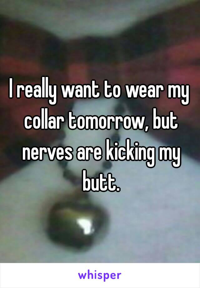 I really want to wear my collar tomorrow, but nerves are kicking my butt.