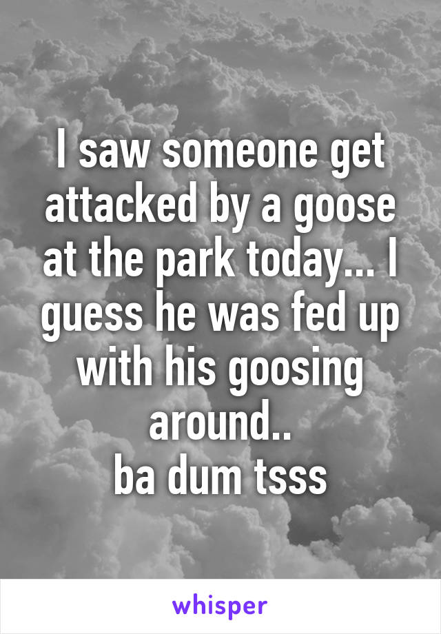 I saw someone get attacked by a goose at the park today... I guess he was fed up with his goosing around..
ba dum tsss