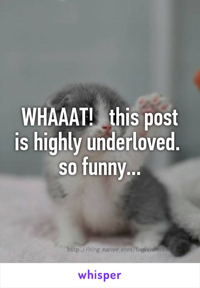 WHAAAT!   this post is highly underloved.   so funny... 