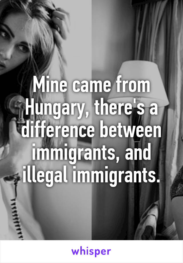 Mine came from Hungary, there's a difference between immigrants, and illegal immigrants.