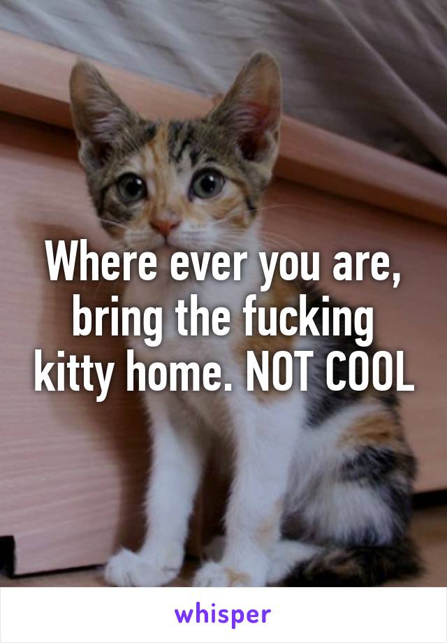 Where ever you are, bring the fucking kitty home. NOT COOL