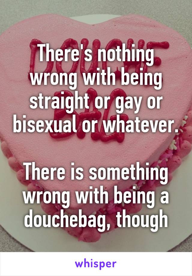 There's nothing wrong with being straight or gay or bisexual or whatever.

There is something wrong with being a douchebag, though