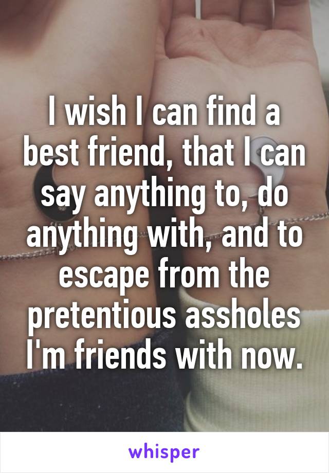 I wish I can find a best friend, that I can say anything to, do anything with, and to escape from the pretentious assholes I'm friends with now.