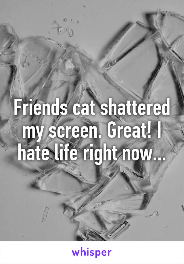 Friends cat shattered my screen. Great! I hate life right now...