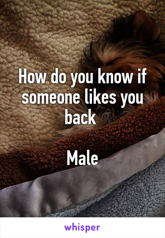 How do you know if someone likes you back 

Male