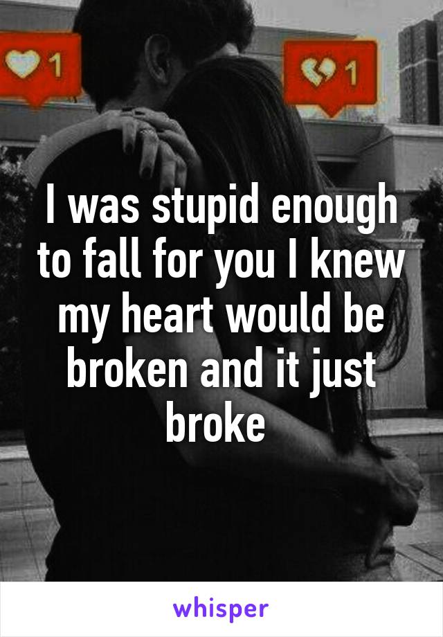 I was stupid enough to fall for you I knew my heart would be broken and it just broke 