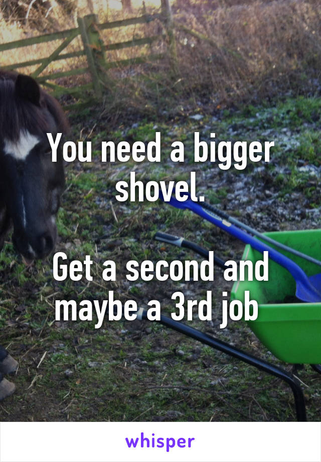 You need a bigger shovel.

Get a second and maybe a 3rd job 