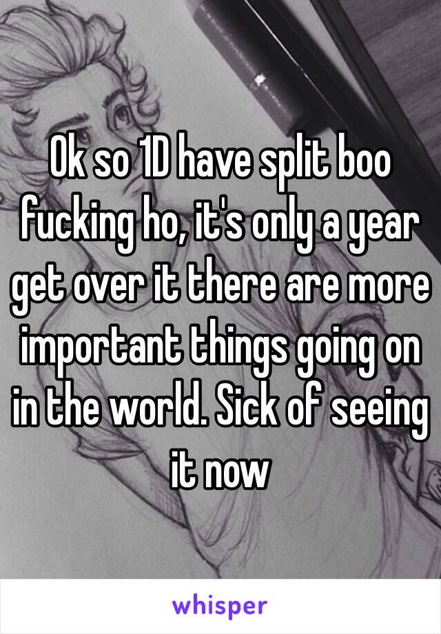 Ok so 1D have split boo fucking ho, it's only a year get over it there are more important things going on in the world. Sick of seeing it now 