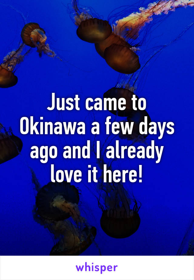 Just came to Okinawa a few days ago and I already love it here!