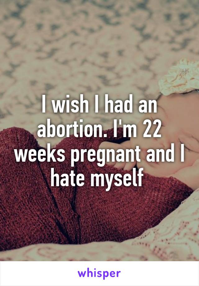 I wish I had an abortion. I'm 22 weeks pregnant and I hate myself 