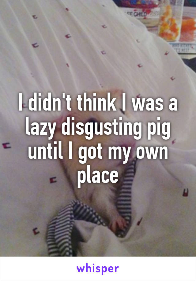 I didn't think I was a lazy disgusting pig until I got my own place