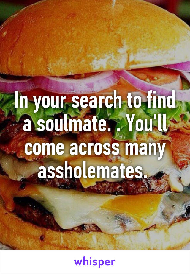 In your search to find a soulmate. . You'll come across many assholemates. 