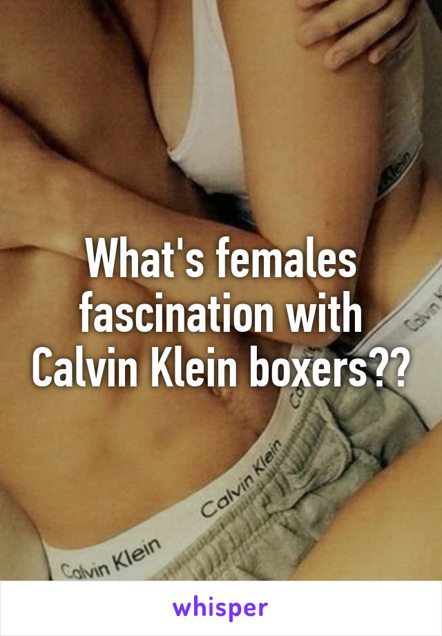 What's females fascination with Calvin Klein boxers??