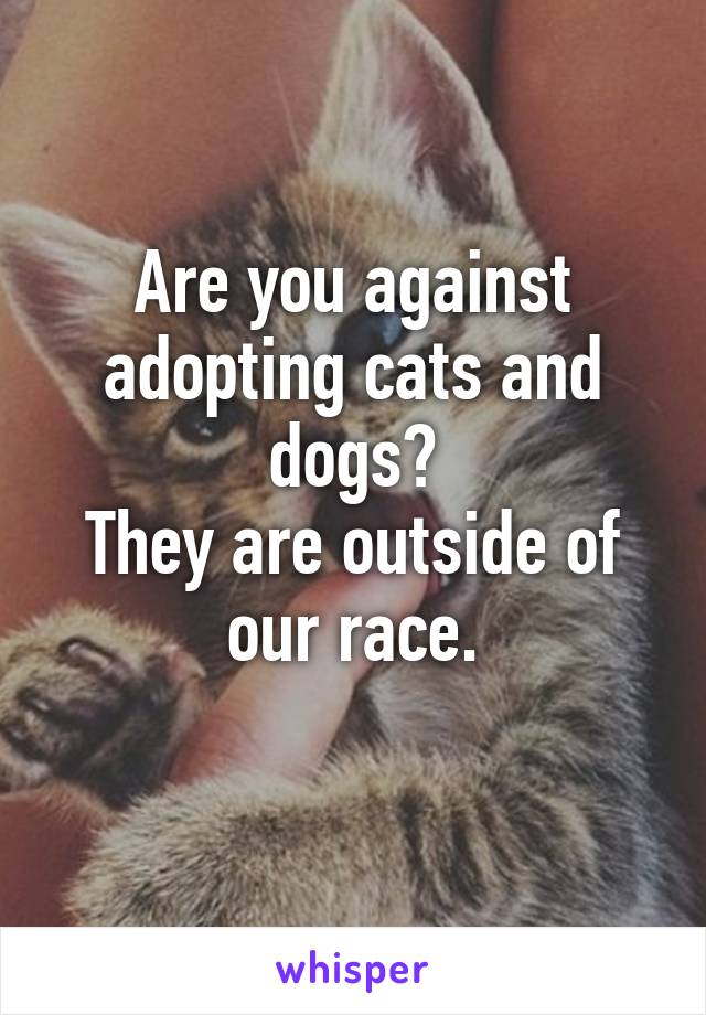 Are you against adopting cats and dogs?
They are outside of our race.
