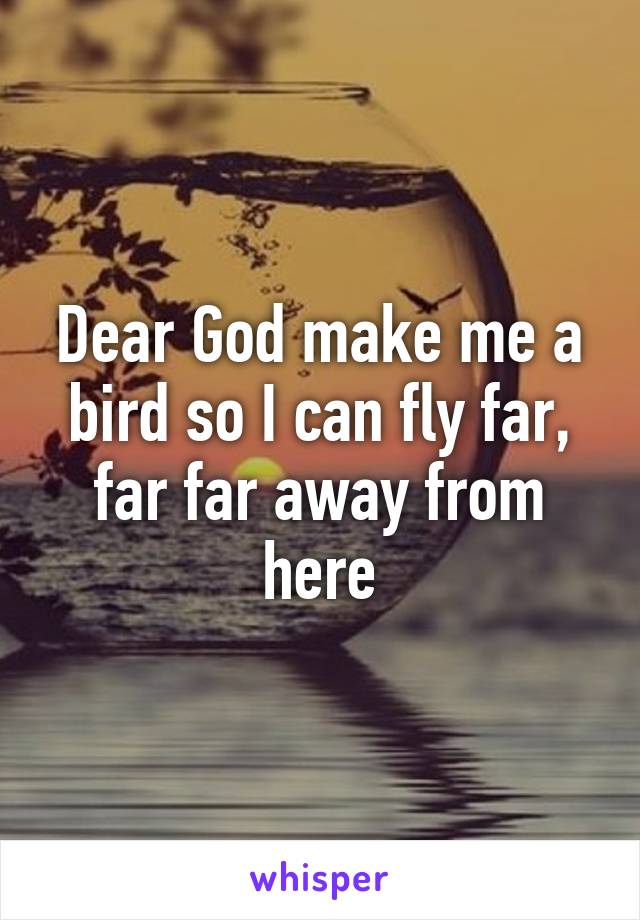 Dear God make me a bird so I can fly far, far far away from here