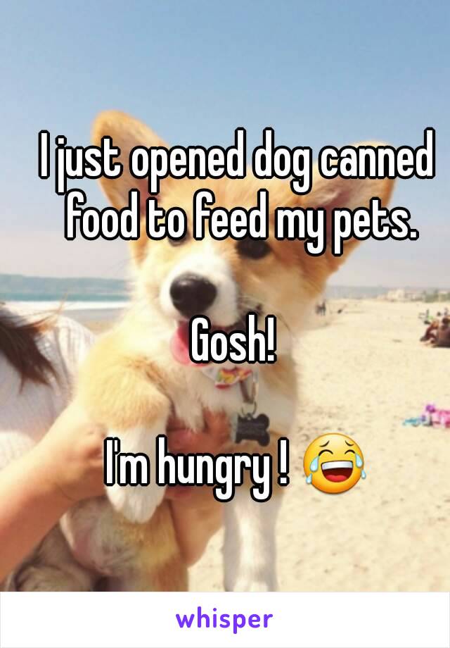 I just opened dog canned food to feed my pets.

Gosh! 

I'm hungry ! 😂