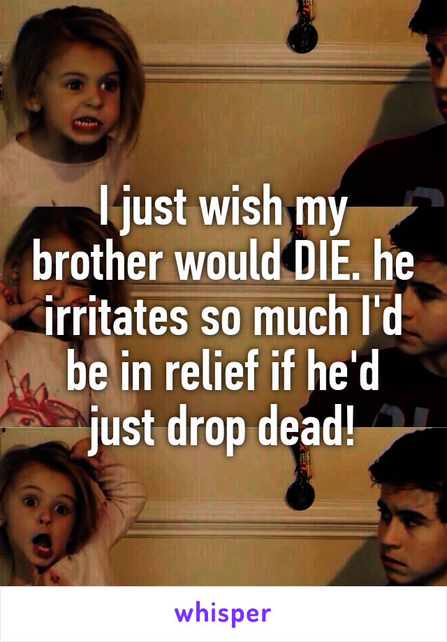 I just wish my brother would DIE. he irritates so much I'd be in relief if he'd just drop dead!