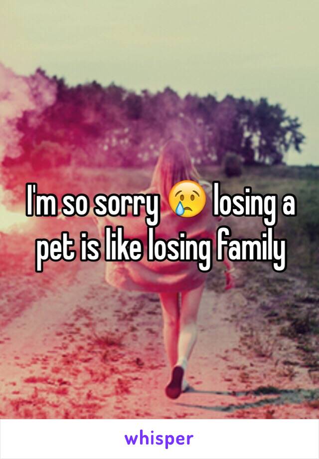 I'm so sorry 😢 losing a pet is like losing family