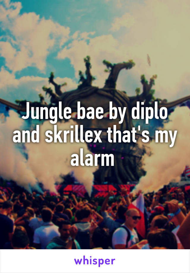 Jungle bae by diplo and skrillex that's my alarm 