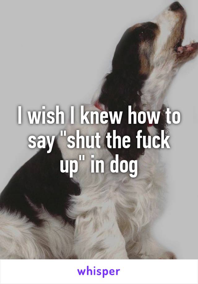 I wish I knew how to say "shut the fuck up" in dog