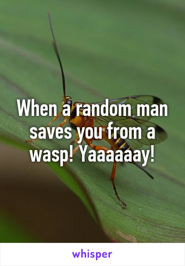 When a random man saves you from a wasp! Yaaaaaay!