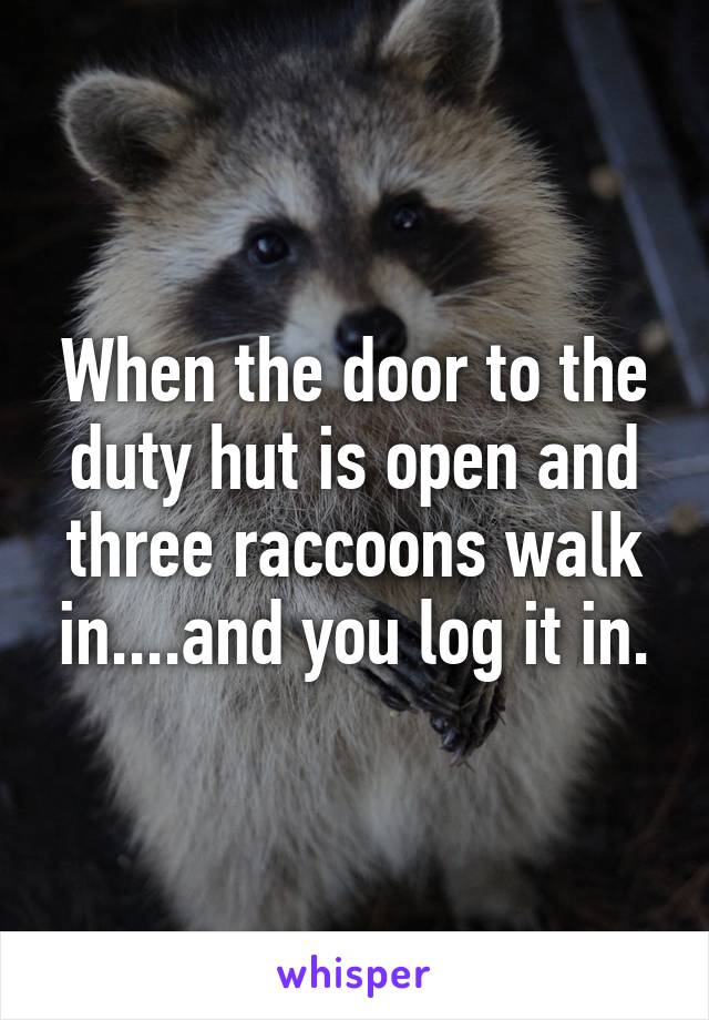 When the door to the duty hut is open and three raccoons walk in....and you log it in.