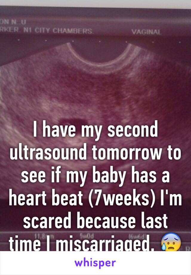 I have my second ultrasound tomorrow to see if my baby has a heart beat (7weeks) I'm scared because last time I miscarriaged. 😰