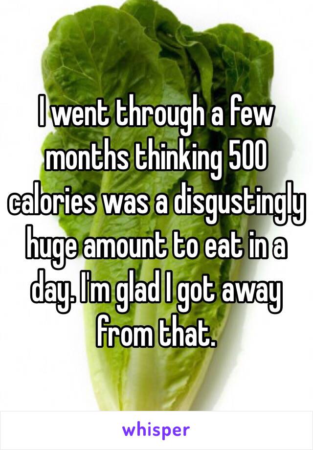 I went through a few months thinking 500 calories was a disgustingly huge amount to eat in a day. I'm glad I got away from that.