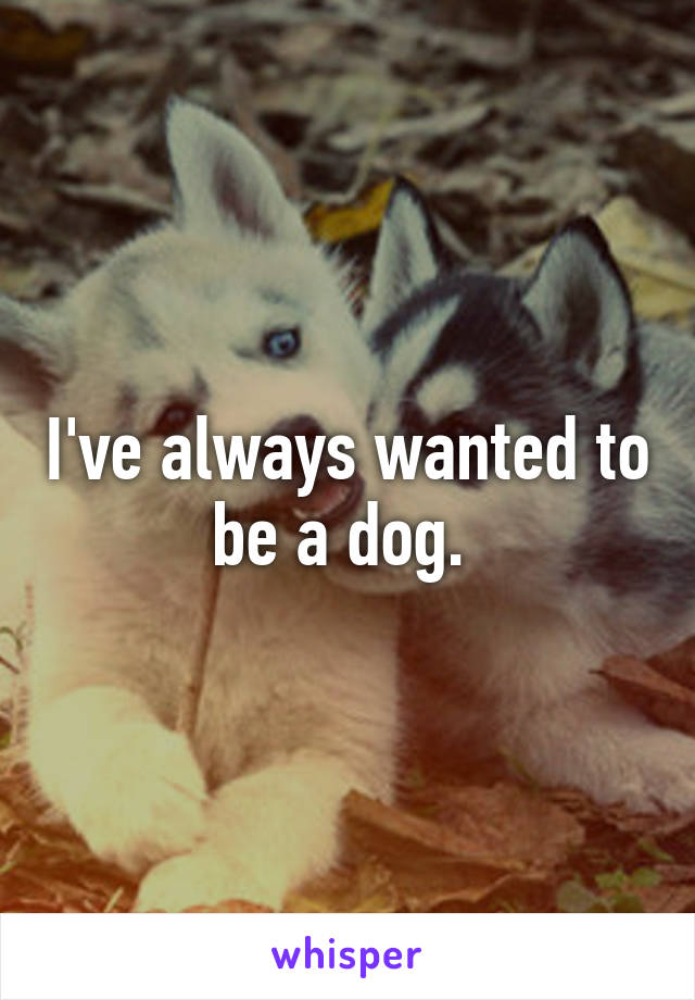 I've always wanted to be a dog. 