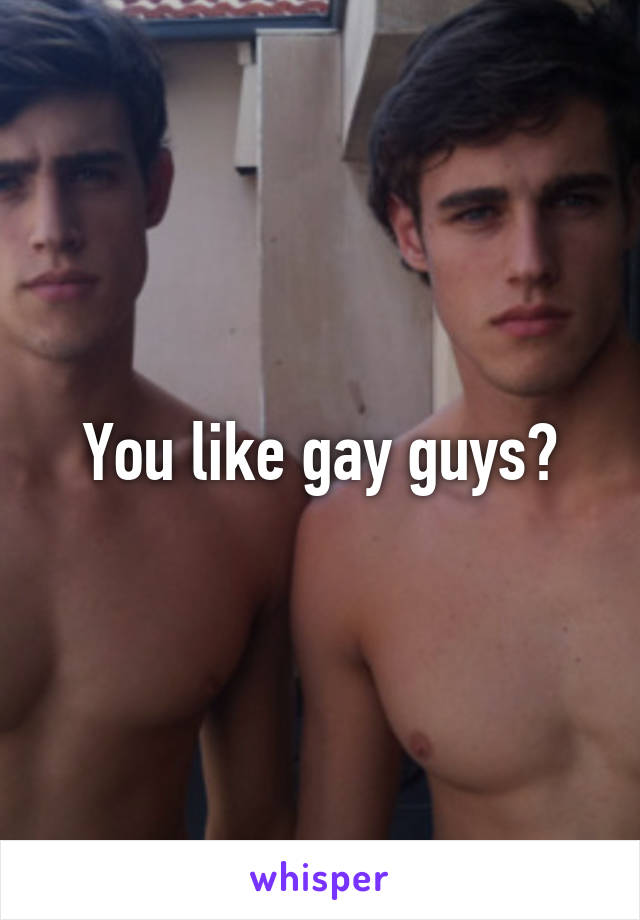 You like gay guys?