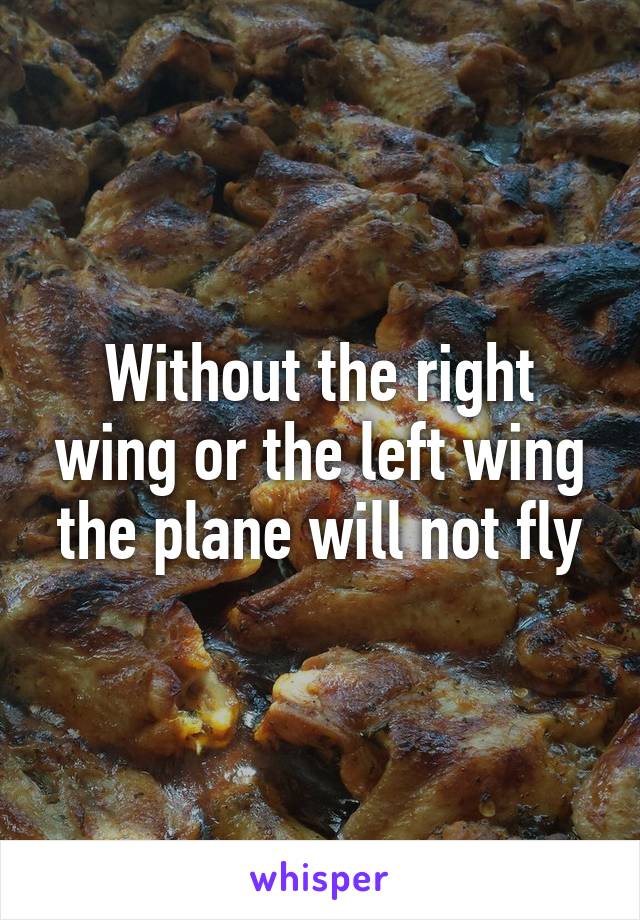 Without the right wing or the left wing the plane will not fly