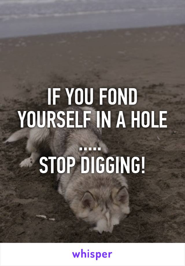 IF YOU FOND YOURSELF IN A HOLE ..... 
STOP DIGGING!