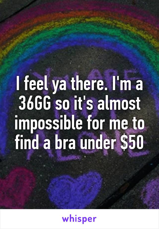 I feel ya there. I'm a 36GG so it's almost impossible for me to find a bra under $50