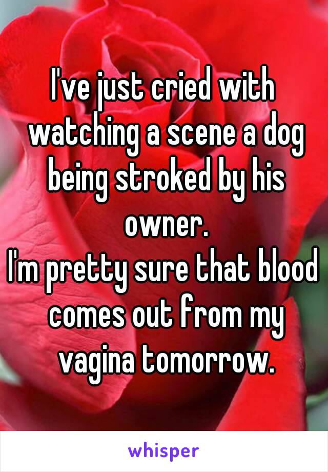 I've just cried with watching a scene a dog being stroked by his owner.
I'm pretty sure that blood comes out from my vagina tomorrow.