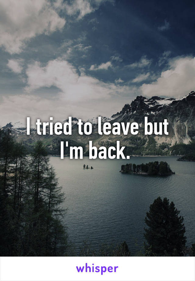 I tried to leave but I'm back. 