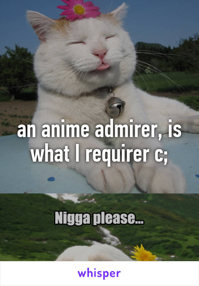 an anime admirer, is what I requirer c;