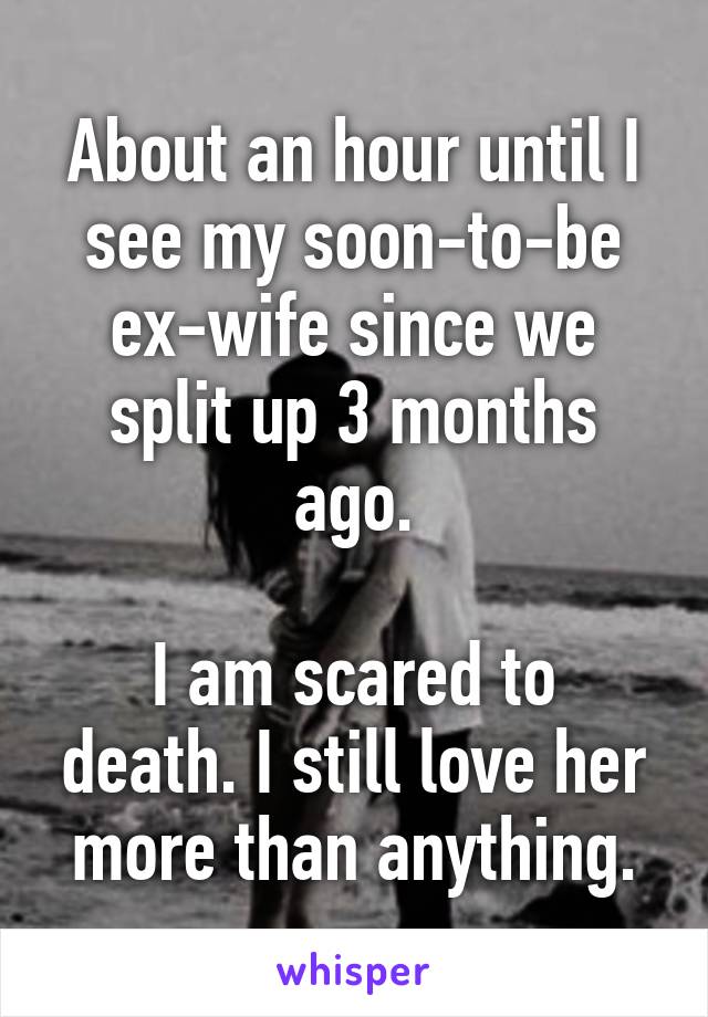 About an hour until I see my soon-to-be ex-wife since we split up 3 months ago.

I am scared to death. I still love her more than anything.