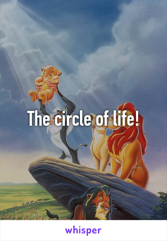 The circle of life!