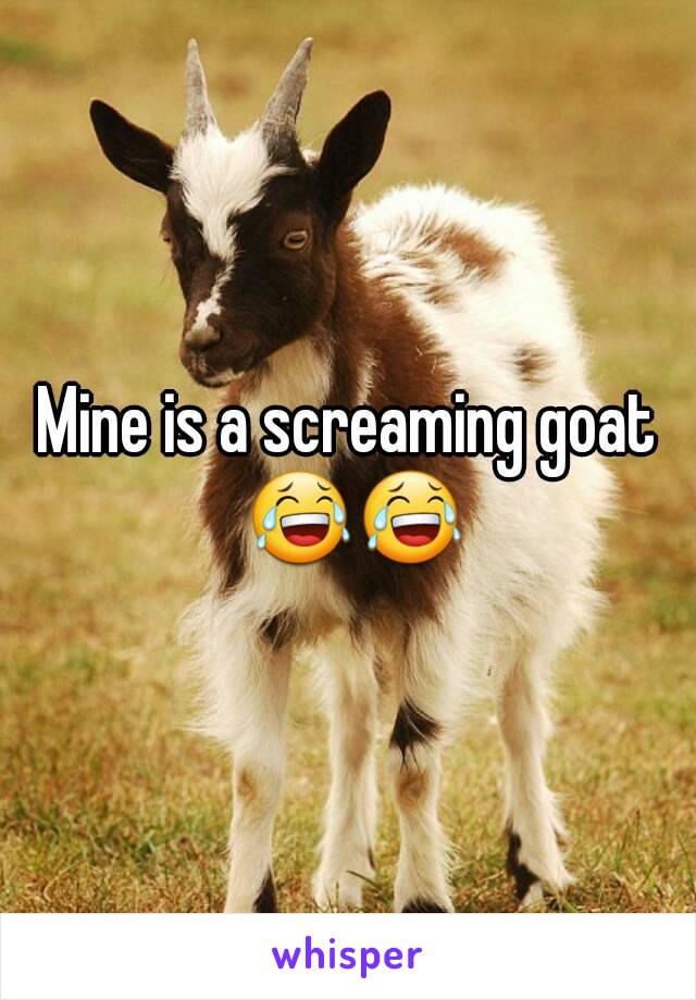 Mine is a screaming goat 😂😂
