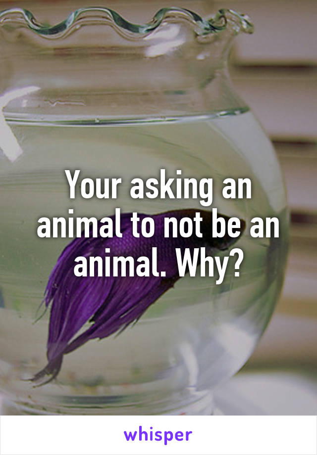 your-asking-an-animal-to-not-be-an-animal-why